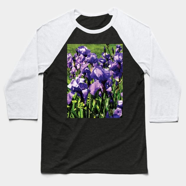 Irises Princess Royal Smith Baseball T-Shirt by SusanSavad